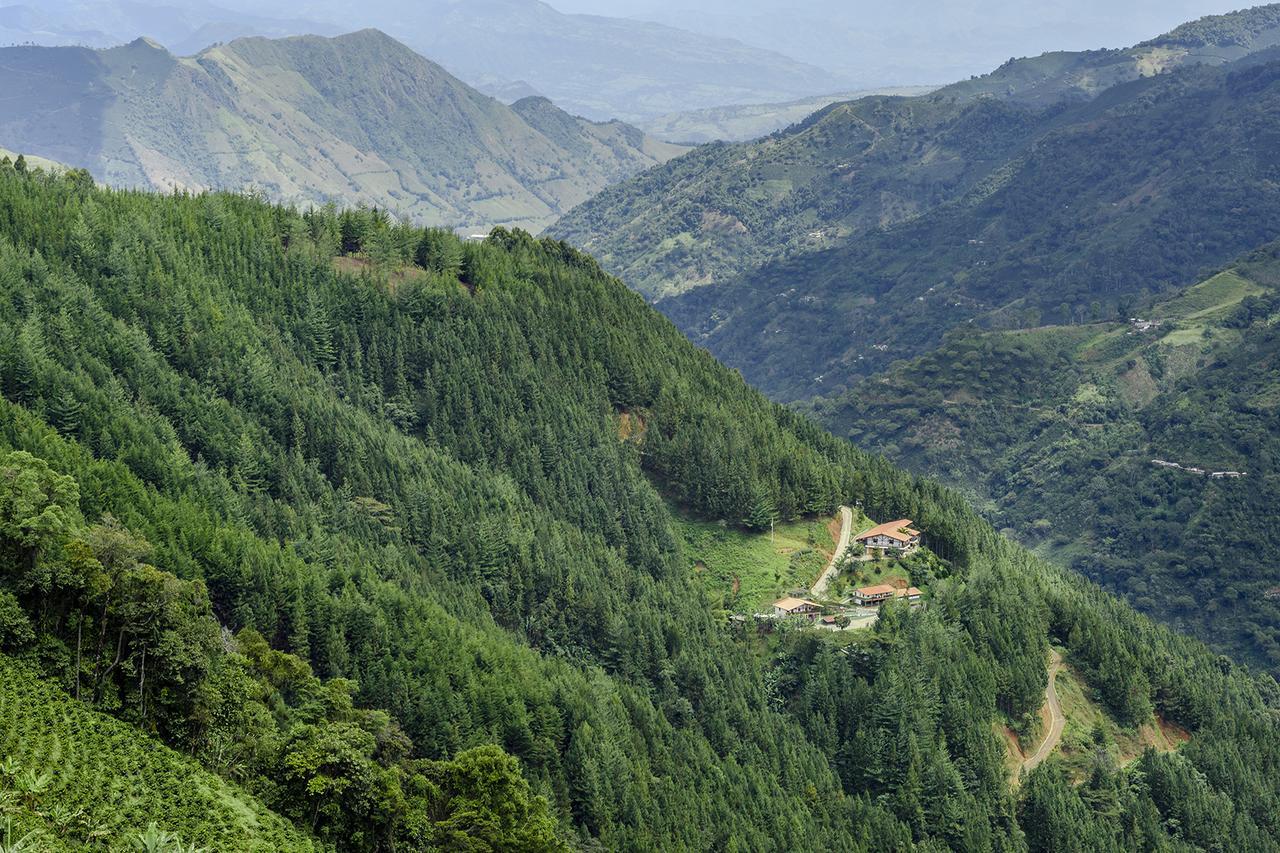 Finca Boutique El Diamante Сальгар Экстерьер фото